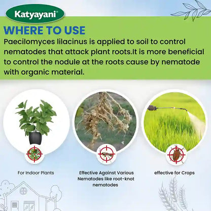 Katyayani Paecilomyces Lilacinus Bio nematicide for indoor plants and crops