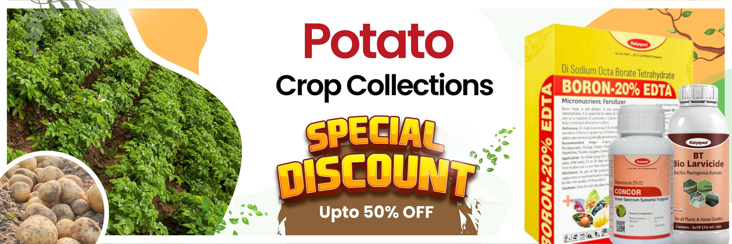 Potato crop collection