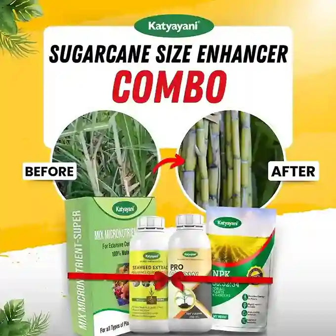 Sugarcane Yield Enhancer Combo (Seaweed Extract - 250ml +Mix Micro - 100gm +Gibberelic Acid - 250ml +Npk 00 52 34 - 1kg)