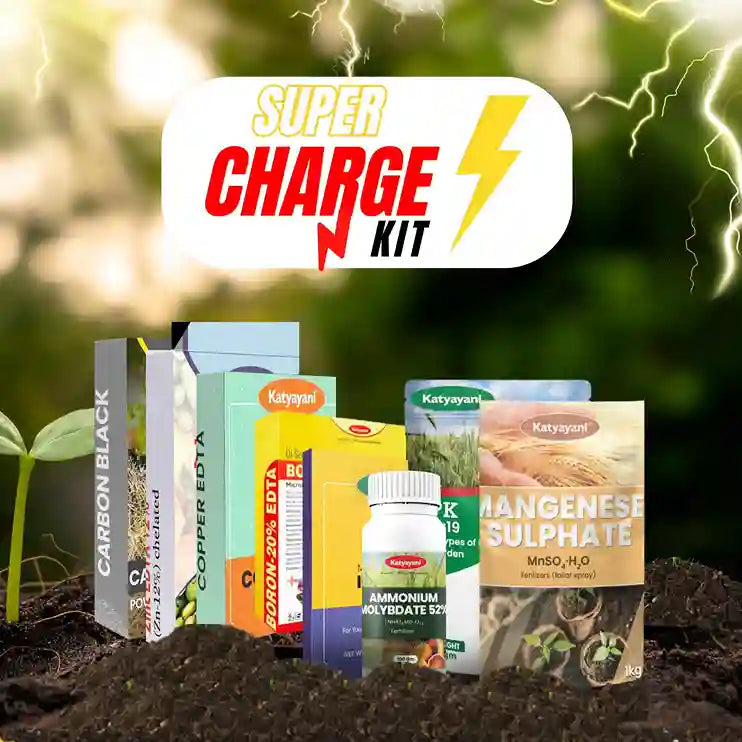 Katyayani Super Charge 10 | A Complete Nutri Combo for Crops