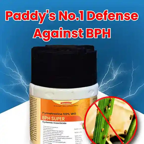 Katyayani BPH Super | Pymetrozine 50 % WG | Chemical Insecticide