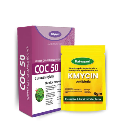 Katyayani Anti Bacterial Kit