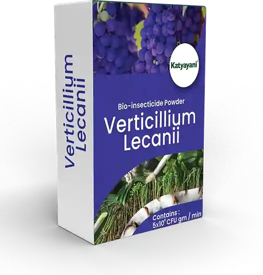 Buy Katyayani Verticillium Lecanii Bio Insecticide Powder | COD