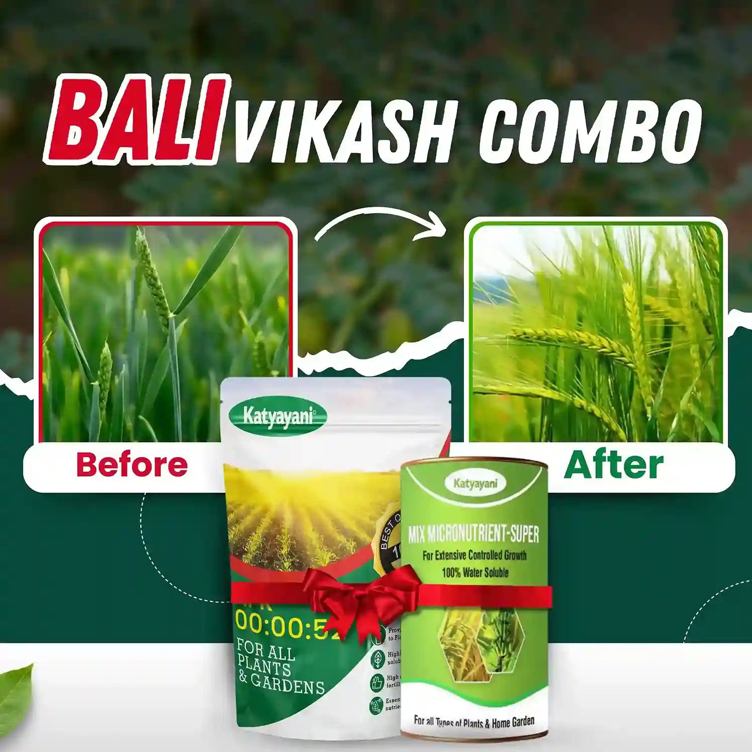 Katyayani Wheat - Bali Vikash Combo | Micro Nutrient Deficiencies