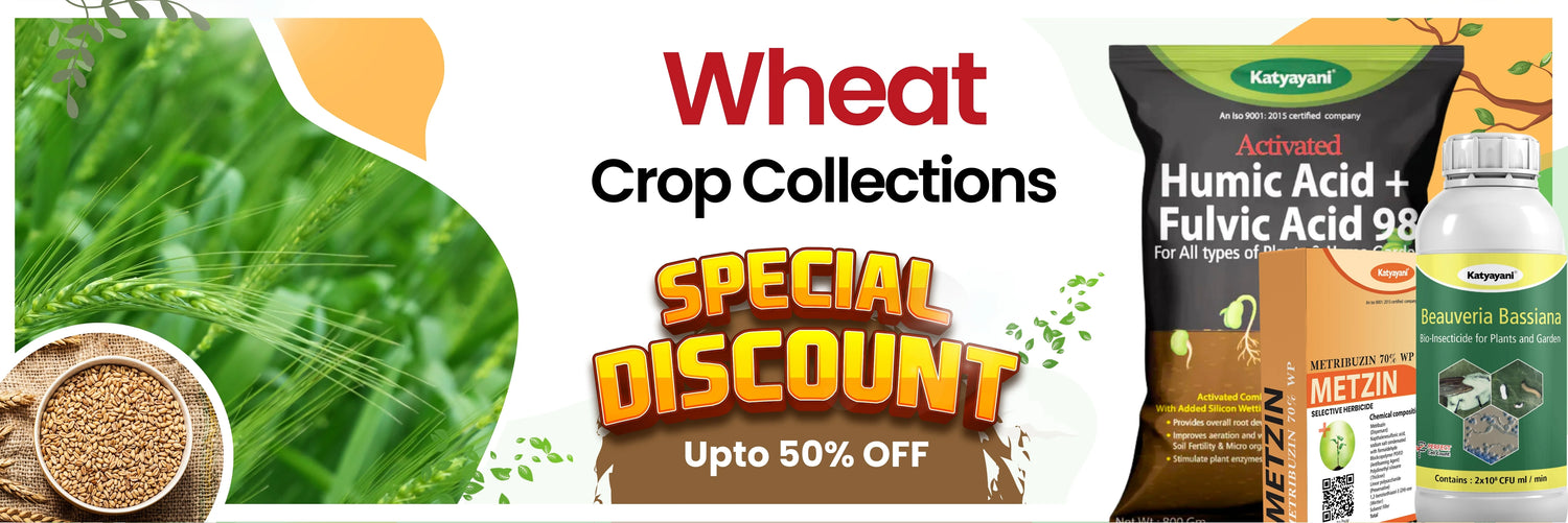 Wheat crop collection