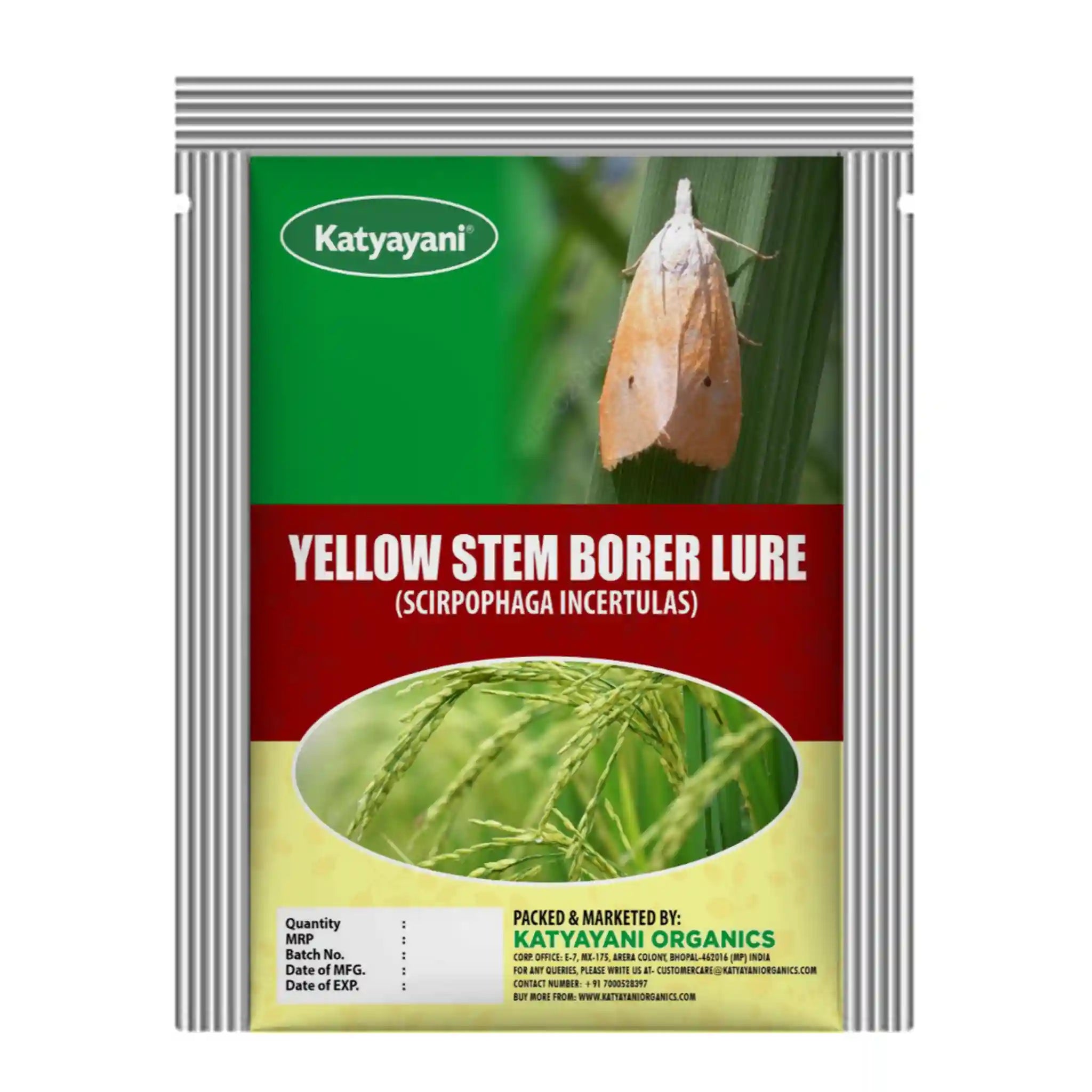 Katyayani  Yellow Stem Borer Lure (SCIRPOPHAGA INCERTULAS)