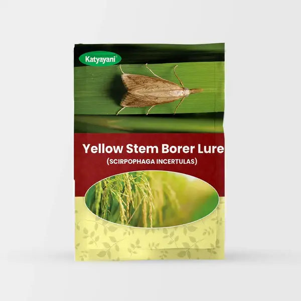 Katyayani  Yellow Stem Borer Lure (SCIRPOPHAGA INCERTULAS)