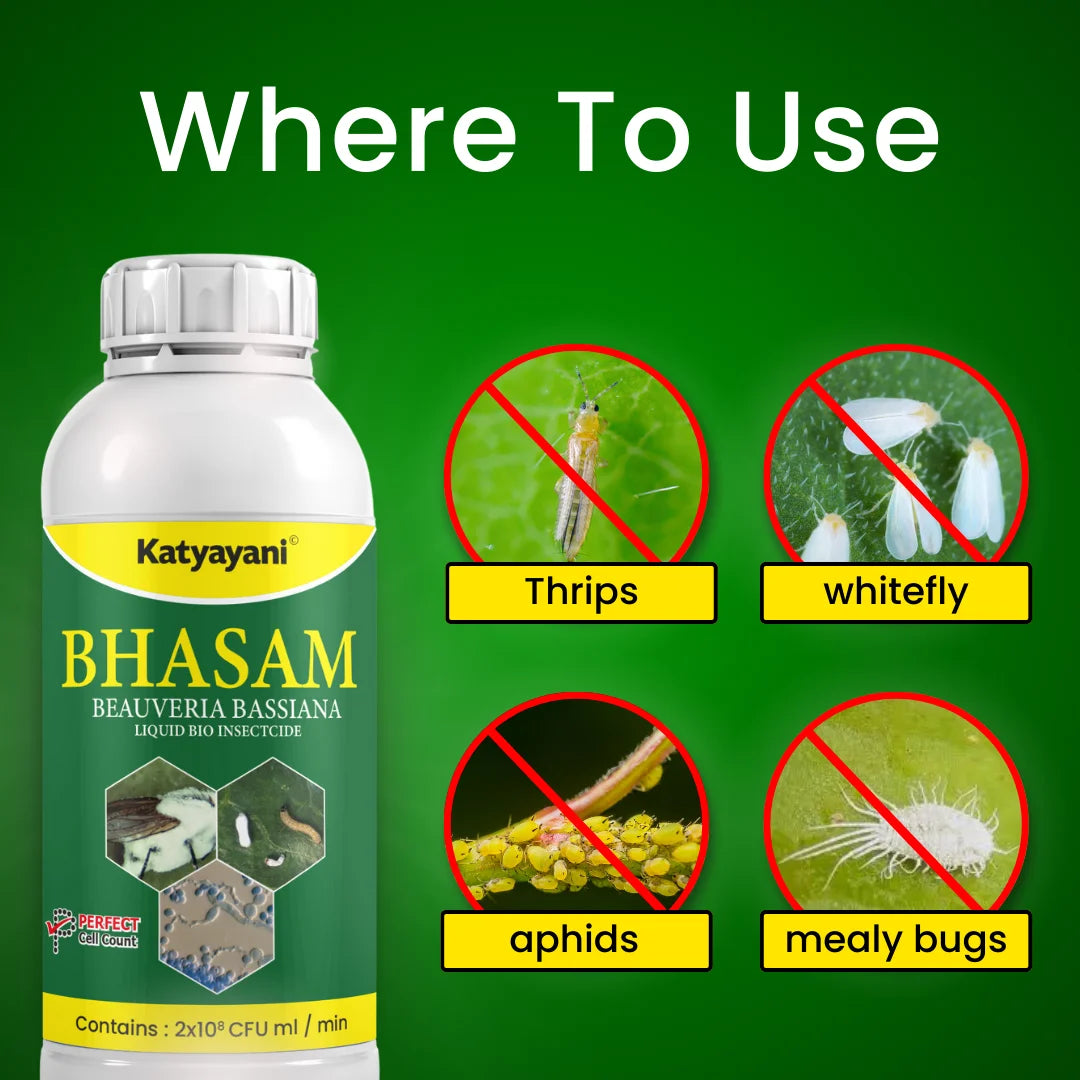 Katyayani Bhasam | Beauveria Bassiana Bio pesticide for thrips, whitefly and aphids