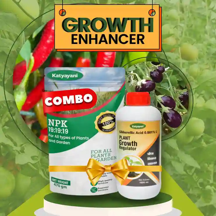 Katyayani Growth Enhancer Combo | NPK 19 19 19 Fertilizer (1KG) and Gibberellic Acid PGR (250ML)