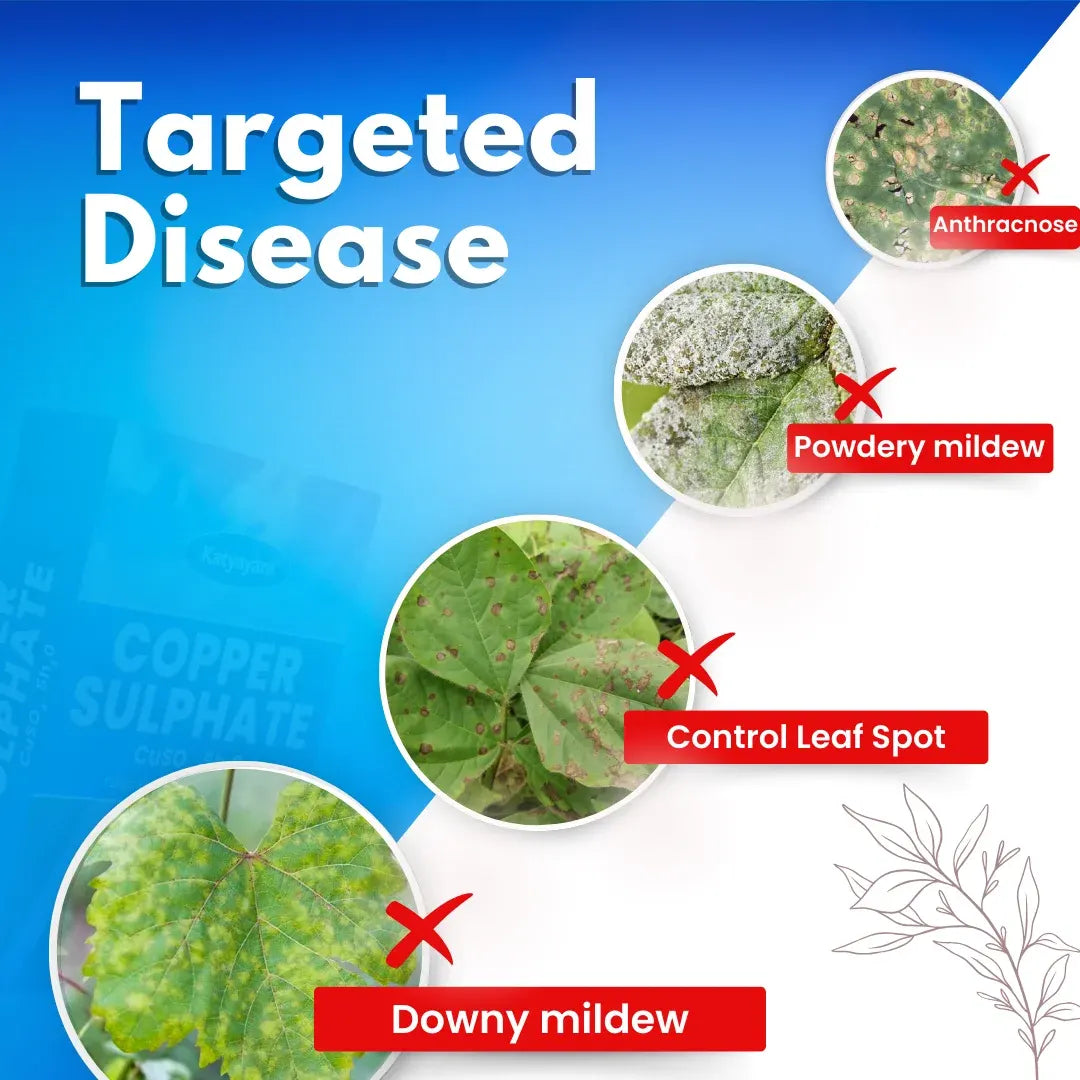 KATYAYANI COPPER SULPHATE | CHEMICAL FUNGICIDE for downy mildew, anthracnose