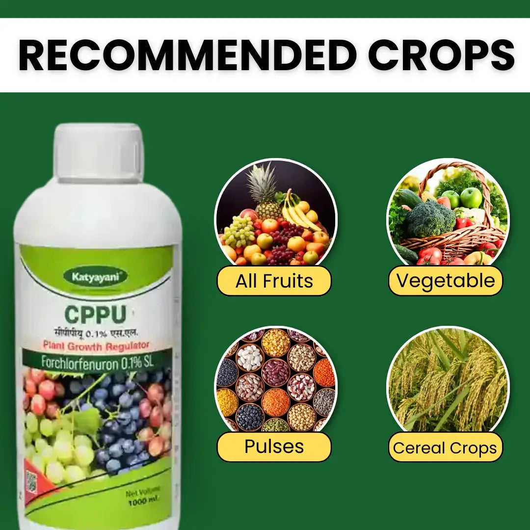 Katyayani CPPU | Forchlorfenuron 0.1 % L | Plant Growth Regulator for all fruits, vegetables and pulses