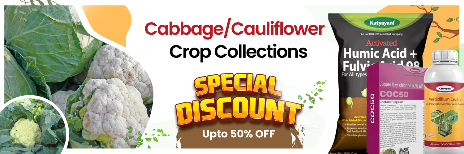 Cabbage/Cauliflower crop collection