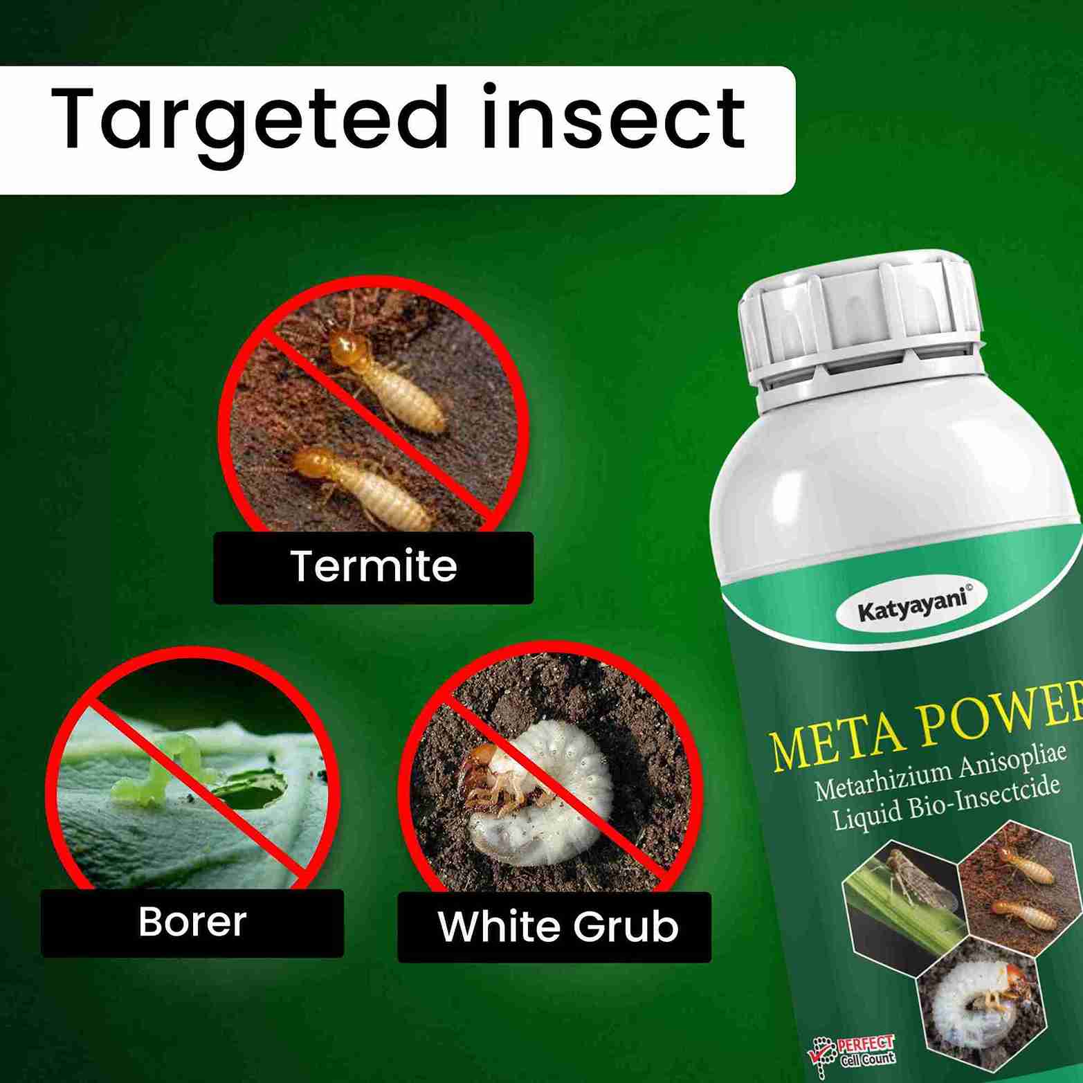 Katyayani Meta Power | Metarhizium Anisopliae | Liquid Bio Insecticide for termite, borer and grubs