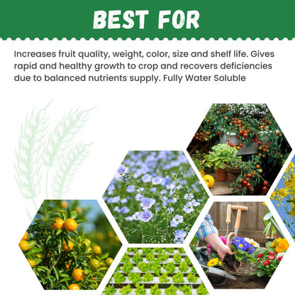 Katyayani  NPK 13 40 13  Fertilizer increase fruit quality, size