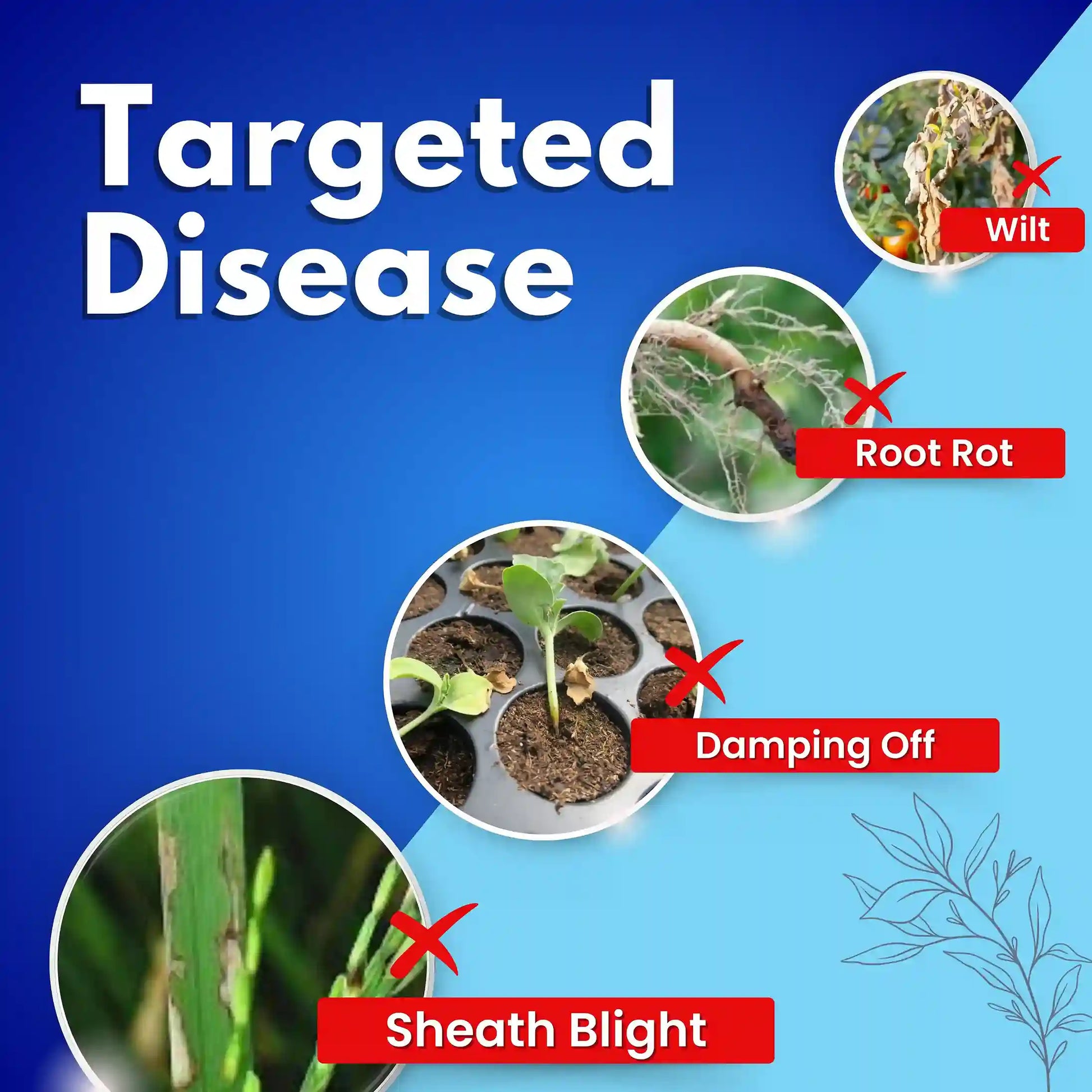 Katyayani TYSON | Trichoderma viride | Bio fungicide Liquid for root rot, wilt and damping off