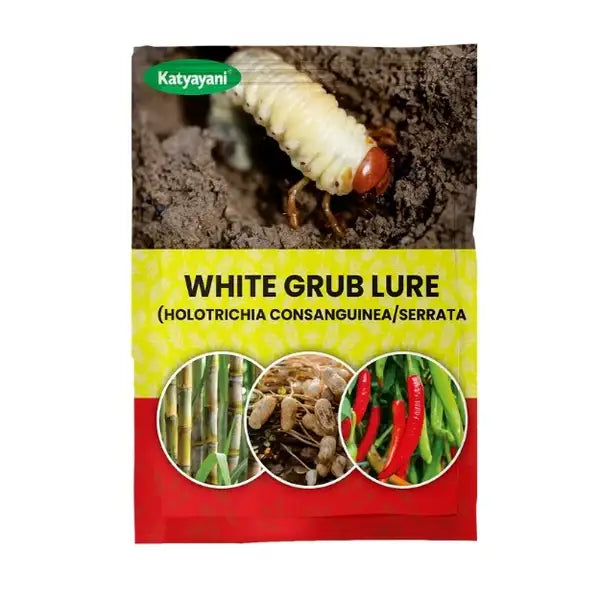 Katyayani White Grub Lure (HOLOTRICHIA CONSANGUINEA/SERRATA)