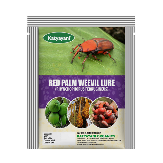 Red Palm Weevil Lure (RHYNCHOPHORUS FERRUGINEUS)